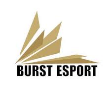 Burst Esport – sim-racing team